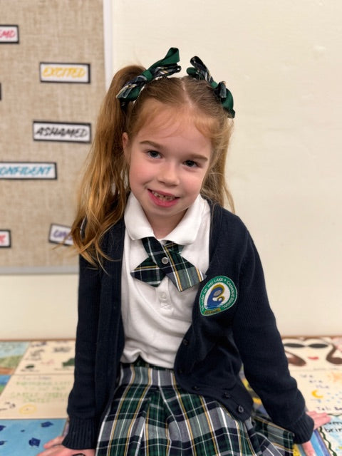 School Plaid Cross over Pin Tie